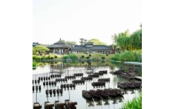 2026神农架夏季团建新篇：贝塔团建以‘长安的荔枝’解锁国风团建新体验